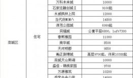 王排竞速最新爆料下载,揭秘速度与激情背后的秘密
