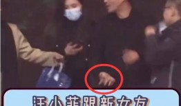 谁爆料了汪小菲视频全集,幕后爆料者身份揭秘