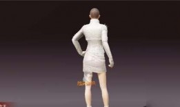 最新衣服皮肤爆料图片,最新衣服皮肤爆料图片大赏