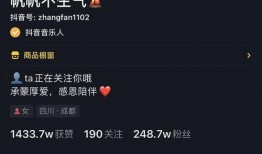 dy网红视频爆料,揭秘幕后真相，带你走进网红世界